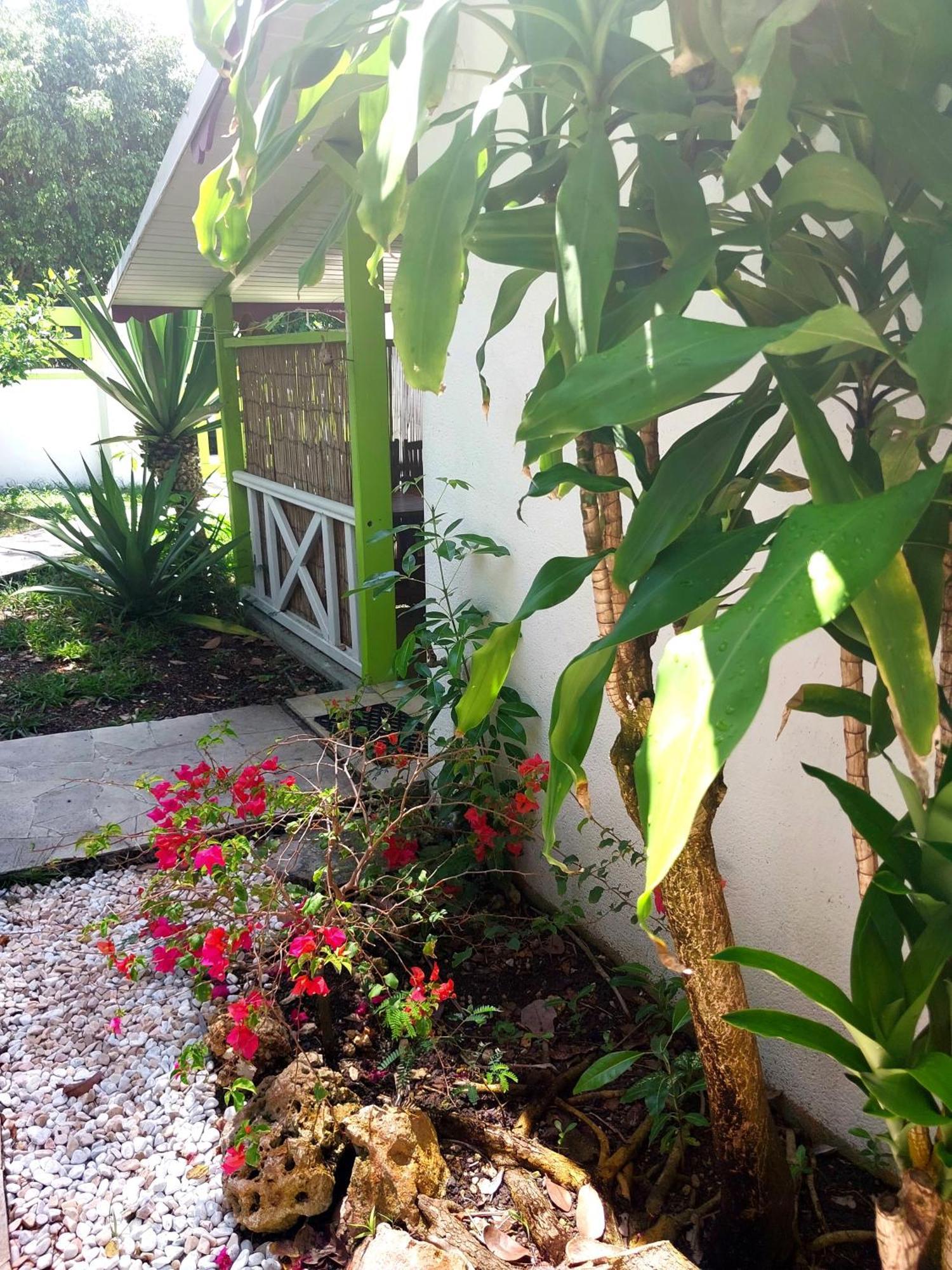 Logisrev Apartment Sainte-Anne  Bagian luar foto